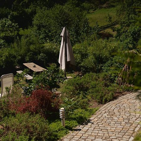 Haus Am Berzdorfer See - 3 Schlafzimmer - Ganzes Haus Zur Alleinnutzung - Terrasse - Hochwertige Ausstattung Gorlitz Ngoại thất bức ảnh